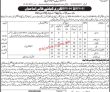 Jobs in School Education & Literacy Department Malir Karachi