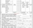 Jobs in School Education & Literacy Department