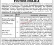 Jobs In School Of Biological Sciences University Of The Punjab