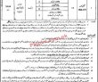 Jobs in Senior Civil Judge Sargodha