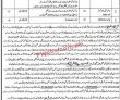 Jobs In Senior Special Judge Peshawar