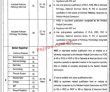 Jobs In Services Hospital Lahore