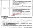 Jobs In Services Hospital Lahore