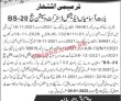Jobs In Session Court Azad Jammu & Kashmir
