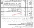 Jobs in Session Court Faisalabad