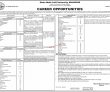 Jobs in Shah Abdul Latif University Khairpur