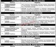 Jobs In Shaheed Benazir Bhutto Dewan University