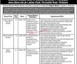 Jobs in Shaheed Benazir Bhutto Women University Peshawar