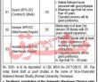 Jobs in Shaheed Benazir Bhutto Women University Peshawar