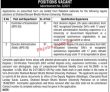 Jobs In Shaheed Benazir Bhutto Women University Peshawar