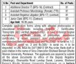 Jobs In Shaheed Benazir Bhutto Women University Peshawar