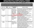 Jobs in Shaheed Benazir Bhutto Women University SBBWU