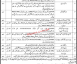 Jobs in Shaheed Mohtarma Benazir Bhutto Institute of Trauma (SMBBIT)