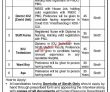 Jobs In Shaheed Mohtarma Benazir Bhutto Institute Of Trauma Smbbit