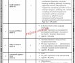 Jobs In Shaheed Zulfiqar Ali Bhutto Medical University Pims