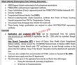 Jobs In Shaikh Zayed Federal Postgraduate Medical Institute Lahore