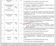 Jobs In Sheikh Mohammad Bin Zayed Al Nahyan