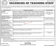 Jobs in Sindh Agriculture University Tandojam