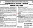 Jobs In Sindh Agriculture University
