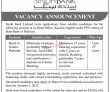 Jobs In Sindh Bank Limited
