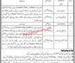Jobs In Sindh Employees Social Security Institution