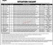Jobs In Sindh Employees Social Security Institution