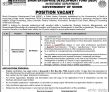 Jobs In Sindh Enterprise Development Fund Sedf
