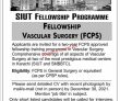Jobs In Sindh Institute Of Urology And Transplantation Siut