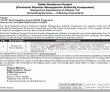 Jobs In Sindh Resilience Project