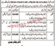 Jobs in Small Industries Department Balochistan