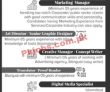 Jobs In Smart Ways Communication Pvt Ltd