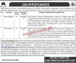 Jobs In Social Media Cell Government Of Balochistan