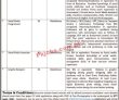 Jobs in Social Media Cell