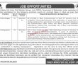 Jobs In Social Media Cell