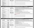 Jobs In Social Protection Strategy Unit