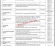 Jobs In Social Welfare Special Education & Women Empowerment