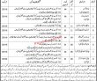 Jobs In Social Welfare & Bait Ul Mal Department