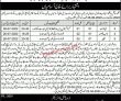 Jobs In Social Welfare & Bait Ul Mall Department Sahiwal