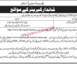 Jobs In State Bank Of Pakistan Sbp