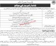 Jobs In State Bank Of Pakistan