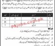 Jobs in Station Health Organization Lahore Cantt