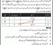 Jobs in Station Health Organization