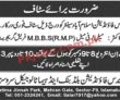 Jobs In Sundas Foundation Islamabad
