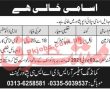 Jobs In Supply Depot Peshawar