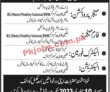 Jobs In Supreme Farms Private Limited