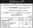 Jobs In Tevta