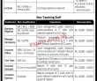 Jobs in TIMES Institute
