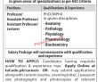 Jobs in TUF The University of Faisalabad