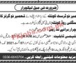 Jobs In Tameer E Nau Public College