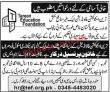 Jobs in Tareen Education Foundation